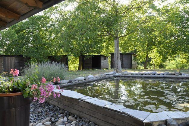 Bed and Breakfast Premiata Osteria Dei Fiori Cortiglione Pokój zdjęcie